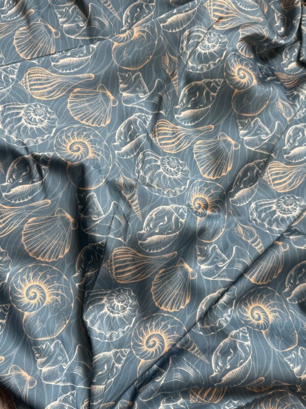 S02 - Sea Shells - Image 4