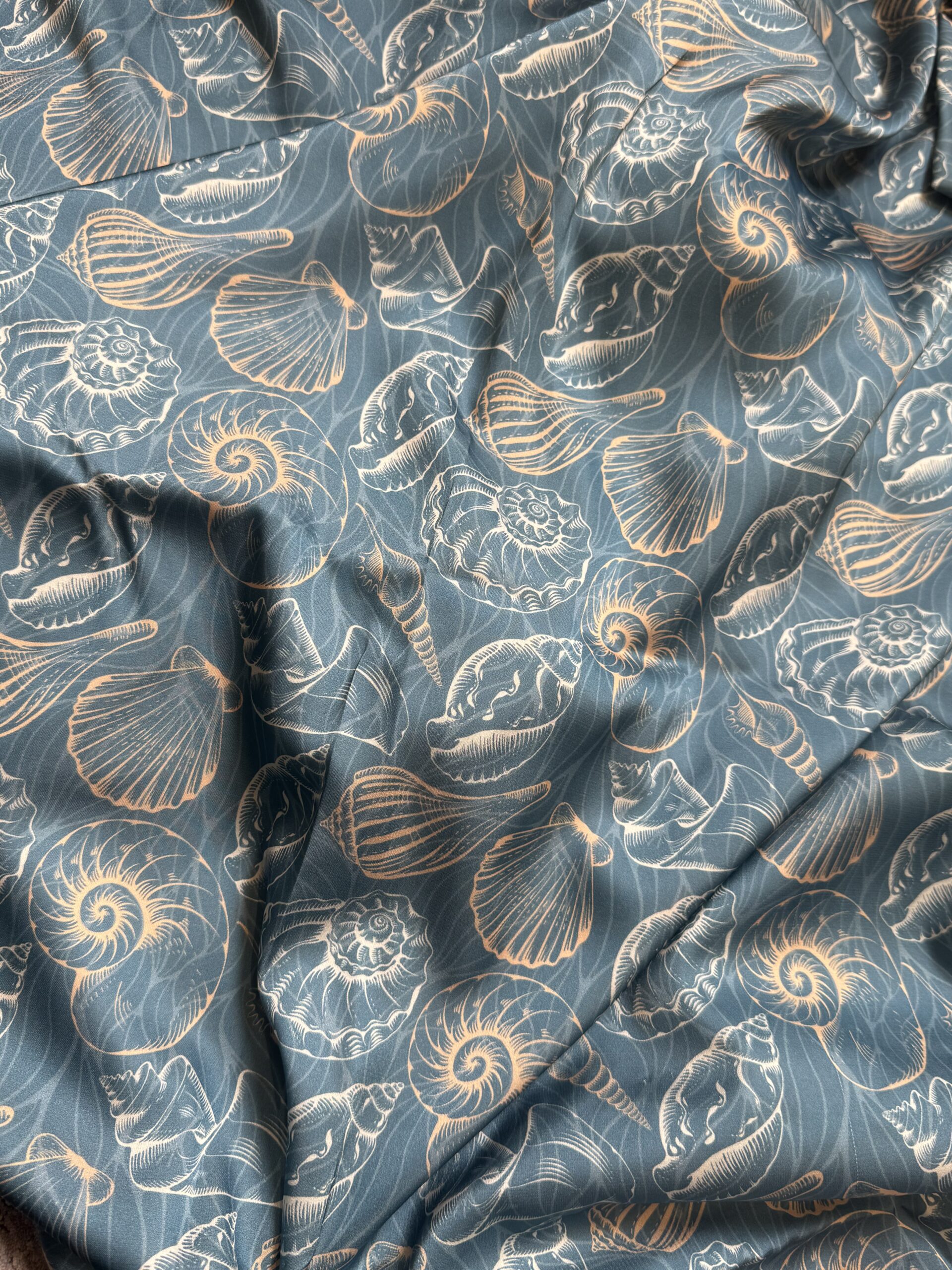 S02 - Sea Shells - Image 4