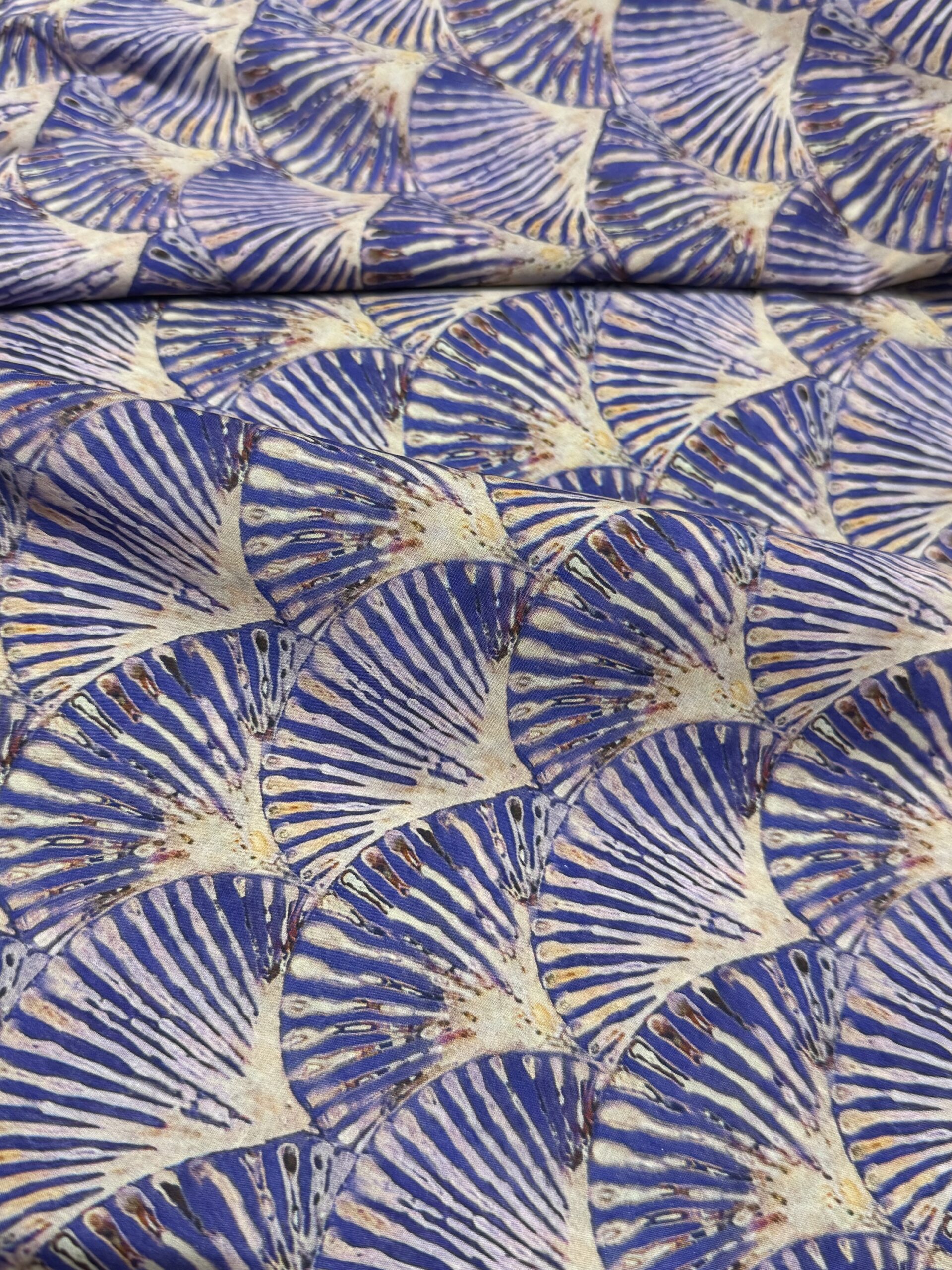C05 - Purple Fan - Image 3