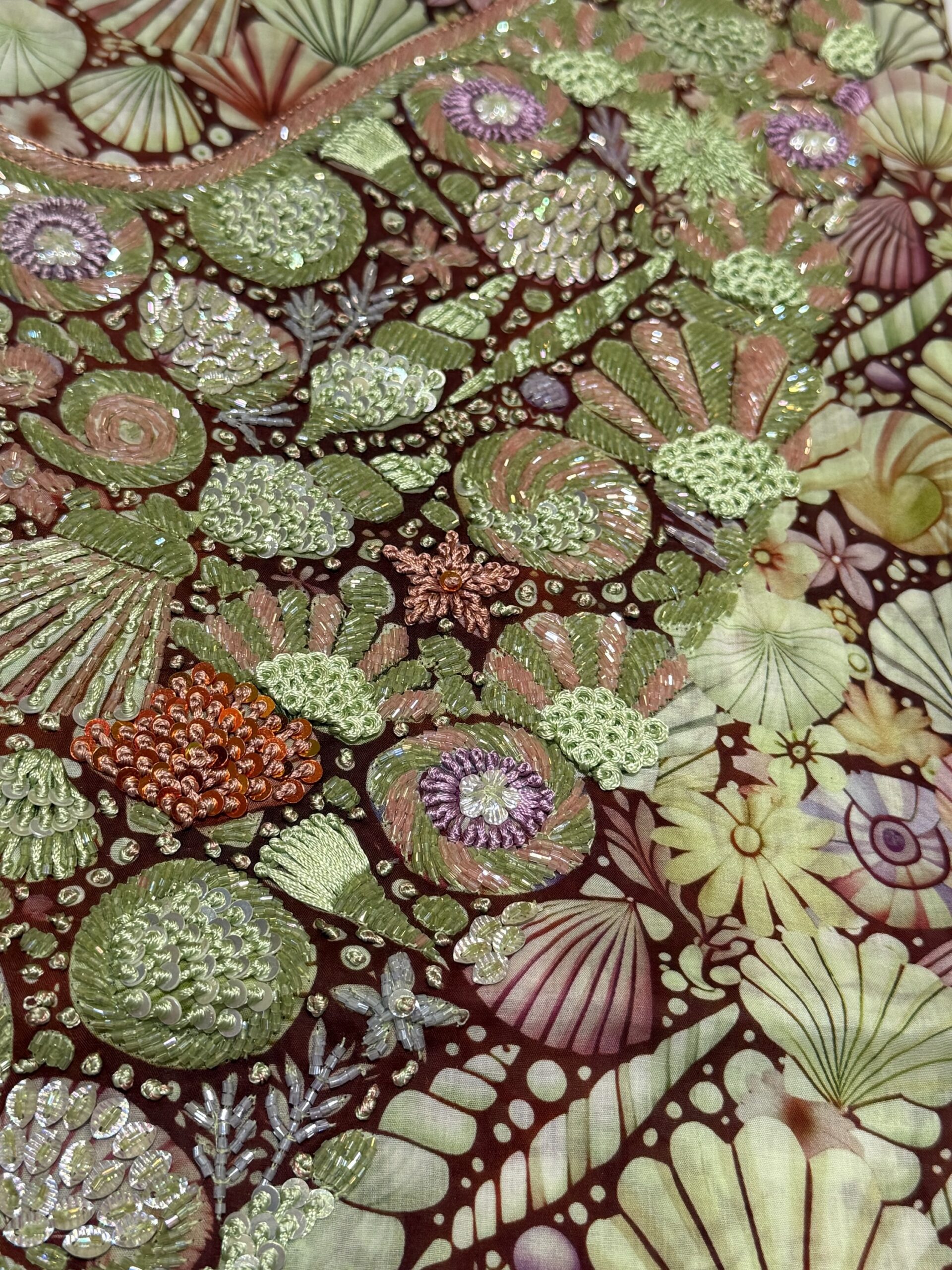 C07 - Shells - Image 5